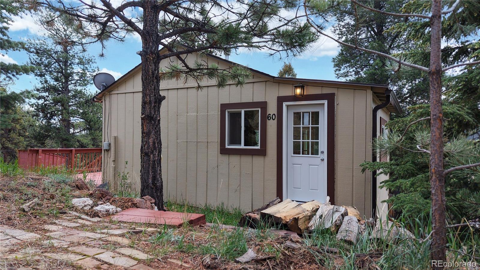 60 Ball Road Bailey, CO 80421 - Photo 2 of 37 a backyard of a house with plants and trees