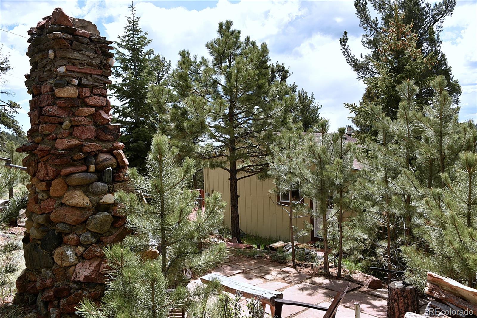 60 Ball Road Bailey, CO 80421 - Photo 29 of 37 a backyard of a house with table and chairs