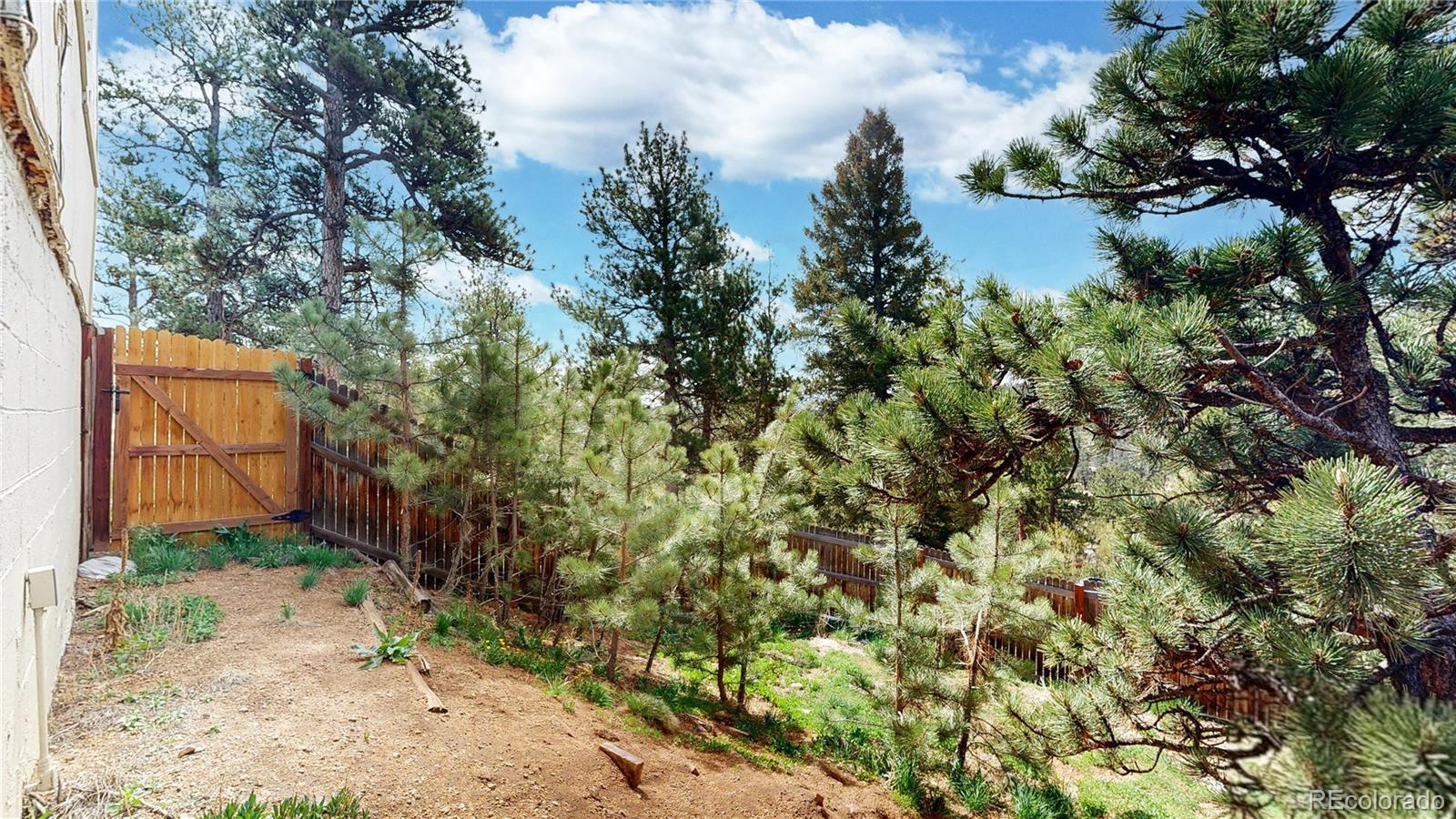 60 Ball Road Bailey, CO 80421 - Photo 30 of 37 a view of a yard with plants and large trees