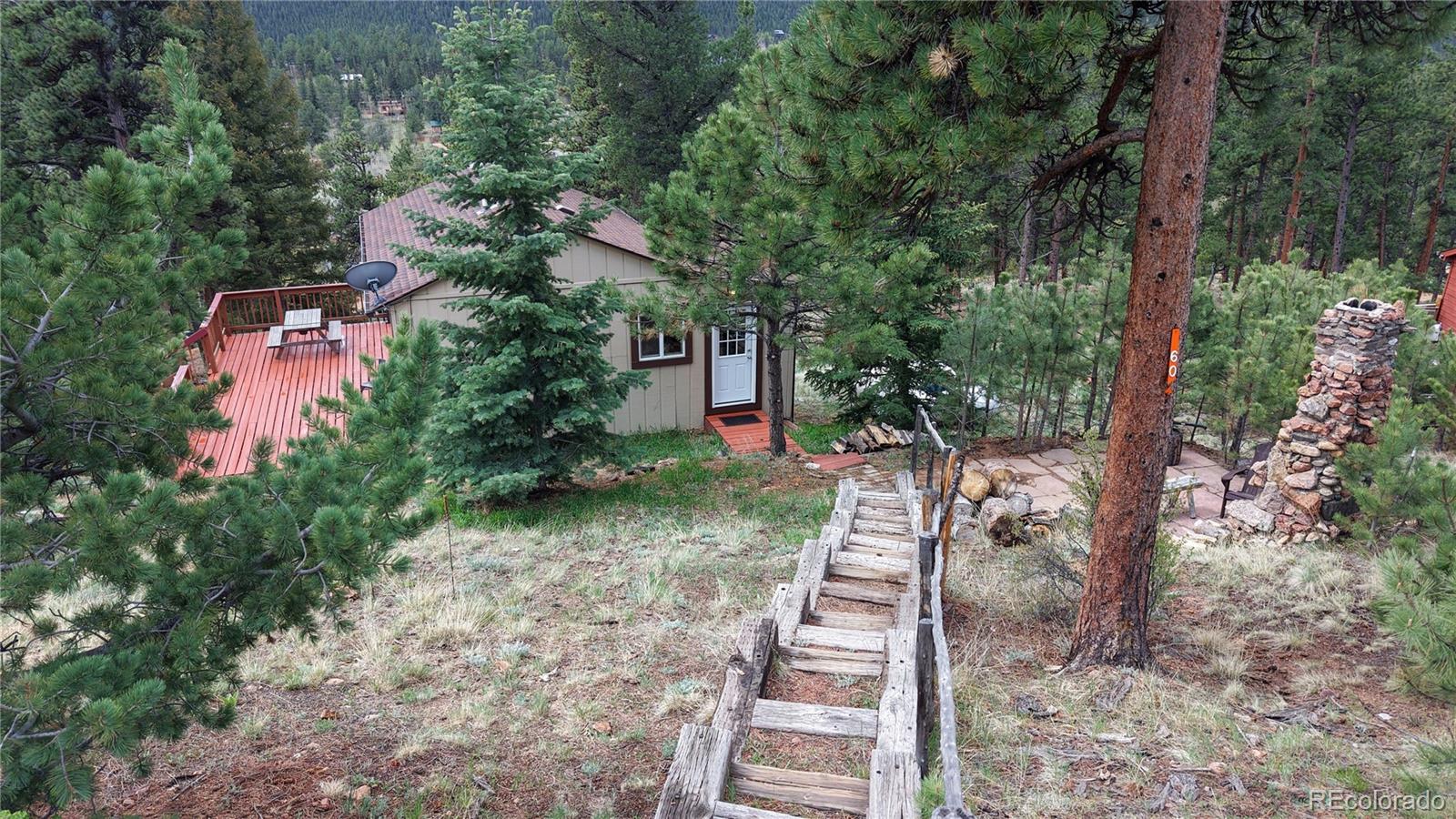 60 Ball Road Bailey, CO 80421 - Photo 3 of 37 a pathway of a house with a yard
