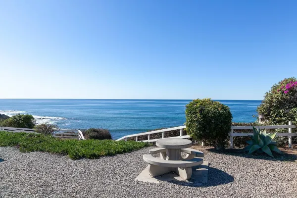 a view of a backyard with plants and outdoor seating