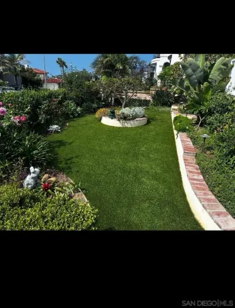 a view of a backyard with potted plants