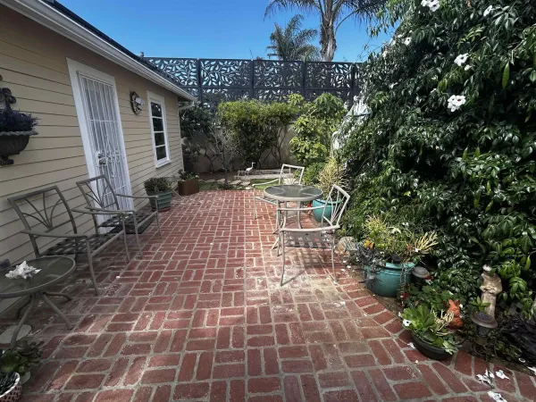a view of a backyard with plants and large tree