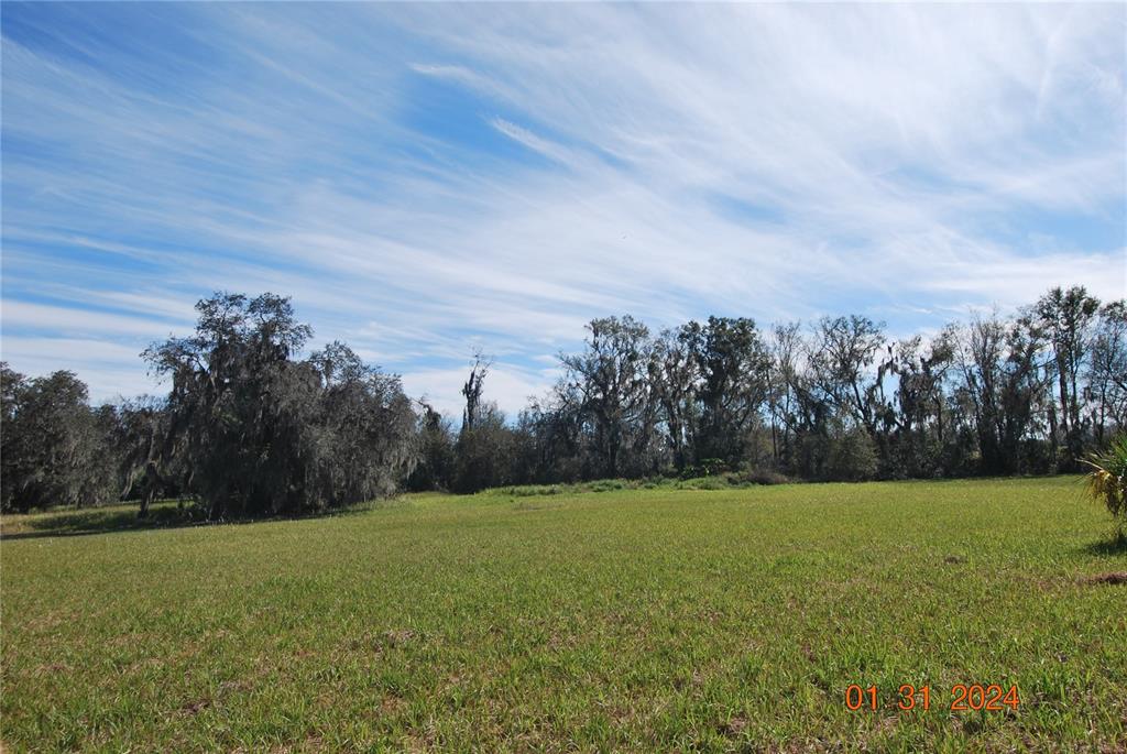 9848 Brantley Road Lithia, FL 33547 - Photo 7 of 25 PASTURE