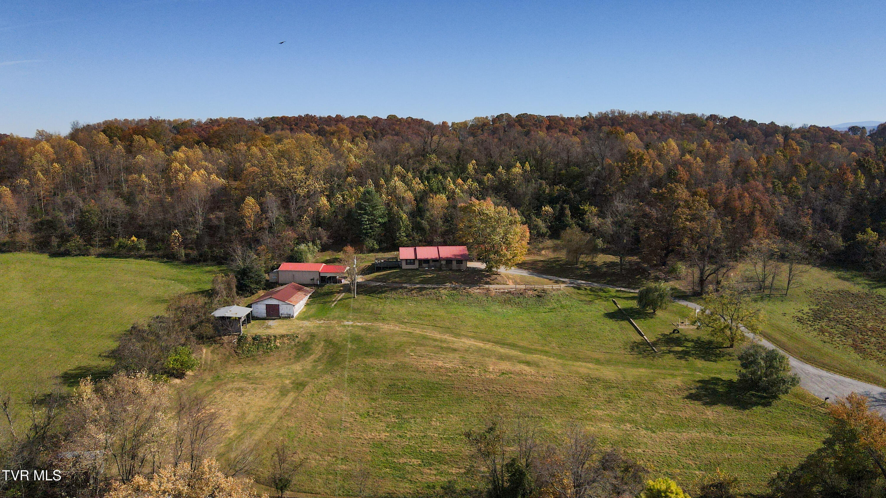 132 Hankal Road Gray, TN 37615 - Photo 51 of 51 dji_fly_20251105_134156_559_176236812699
