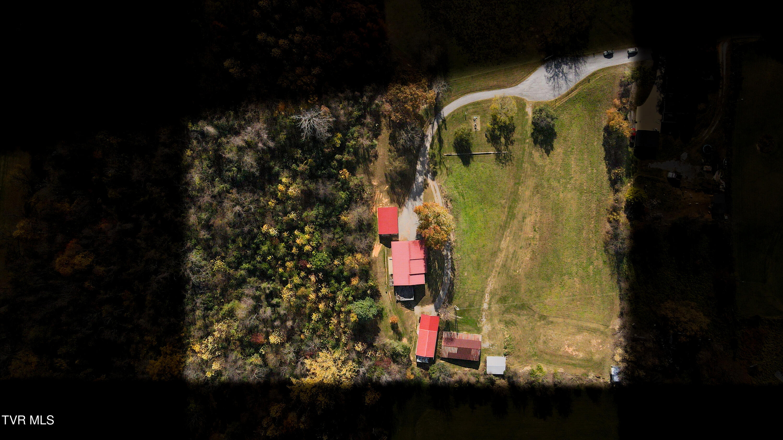 132 Hankal Road Gray, TN 37615 - Photo 9 of 51 dji_fly_20251105_134414_561_176236826685