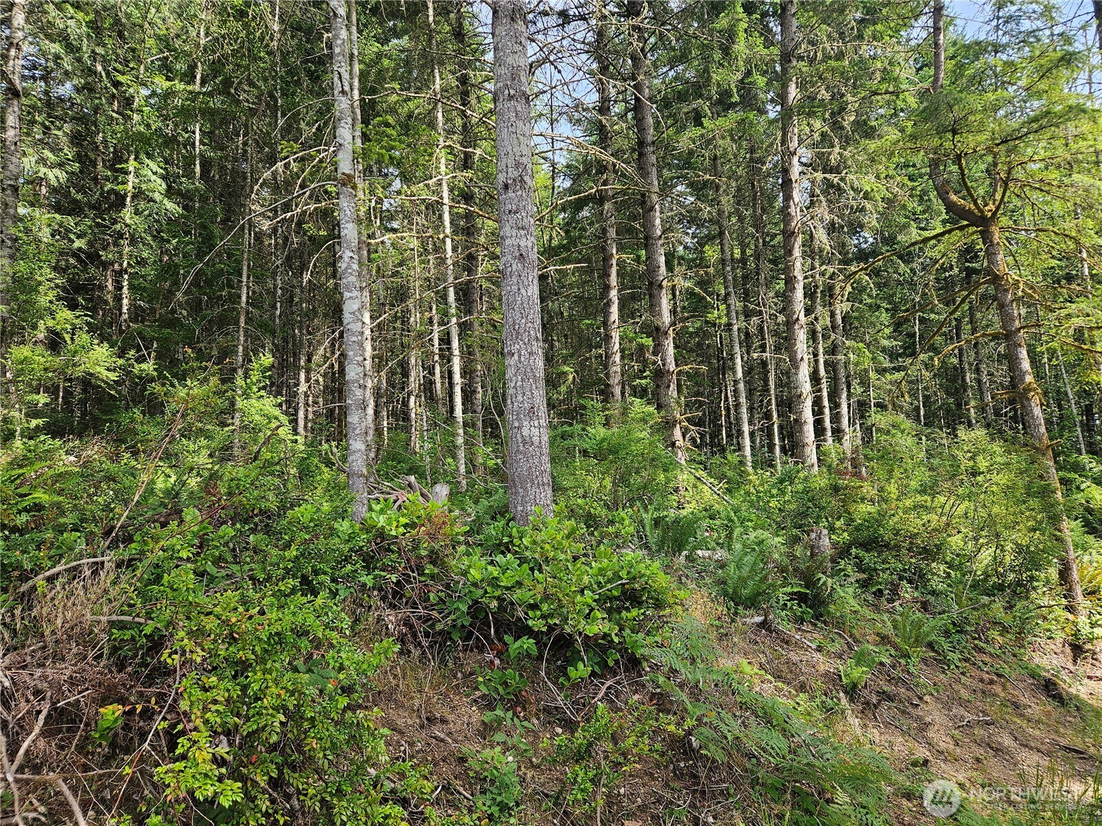-nka L Lee Valley Road Quilcene, WA 98376 - Photo 2 of 10
