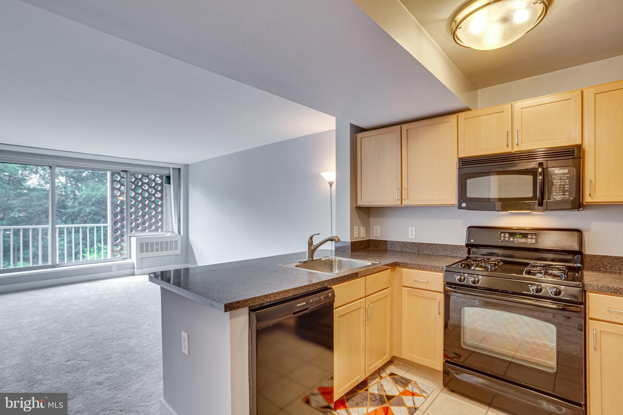 800 4th Street Southwest, Unit N307 Washington, DC 20024 - Photo 8 of 27