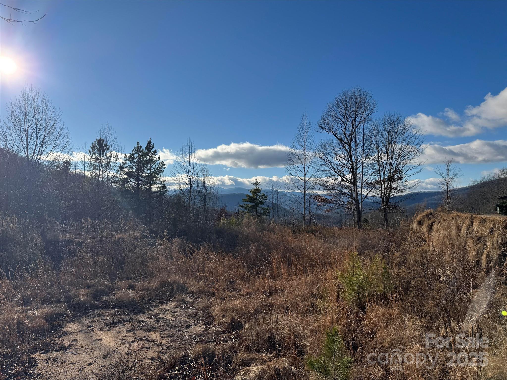 235 Hawks Shadow Trail Sylva, NC 28779 - Photo 2 of 8