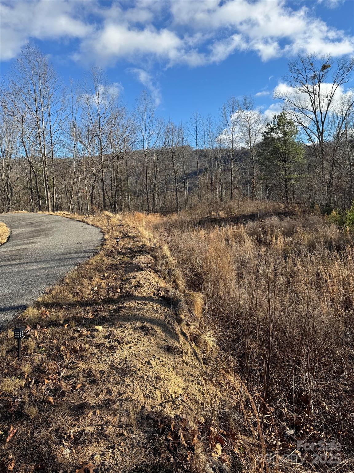235 Hawks Shadow Trail Sylva, NC 28779 - Photo 3 of 8