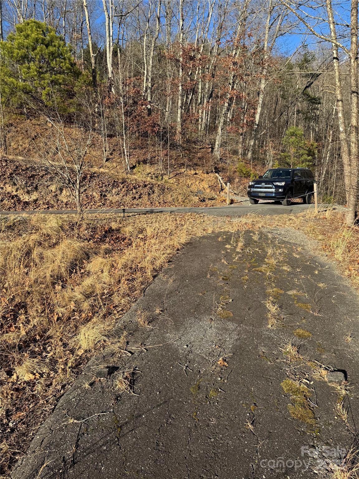 235 Hawks Shadow Trail Sylva, NC 28779 - Photo 4 of 8