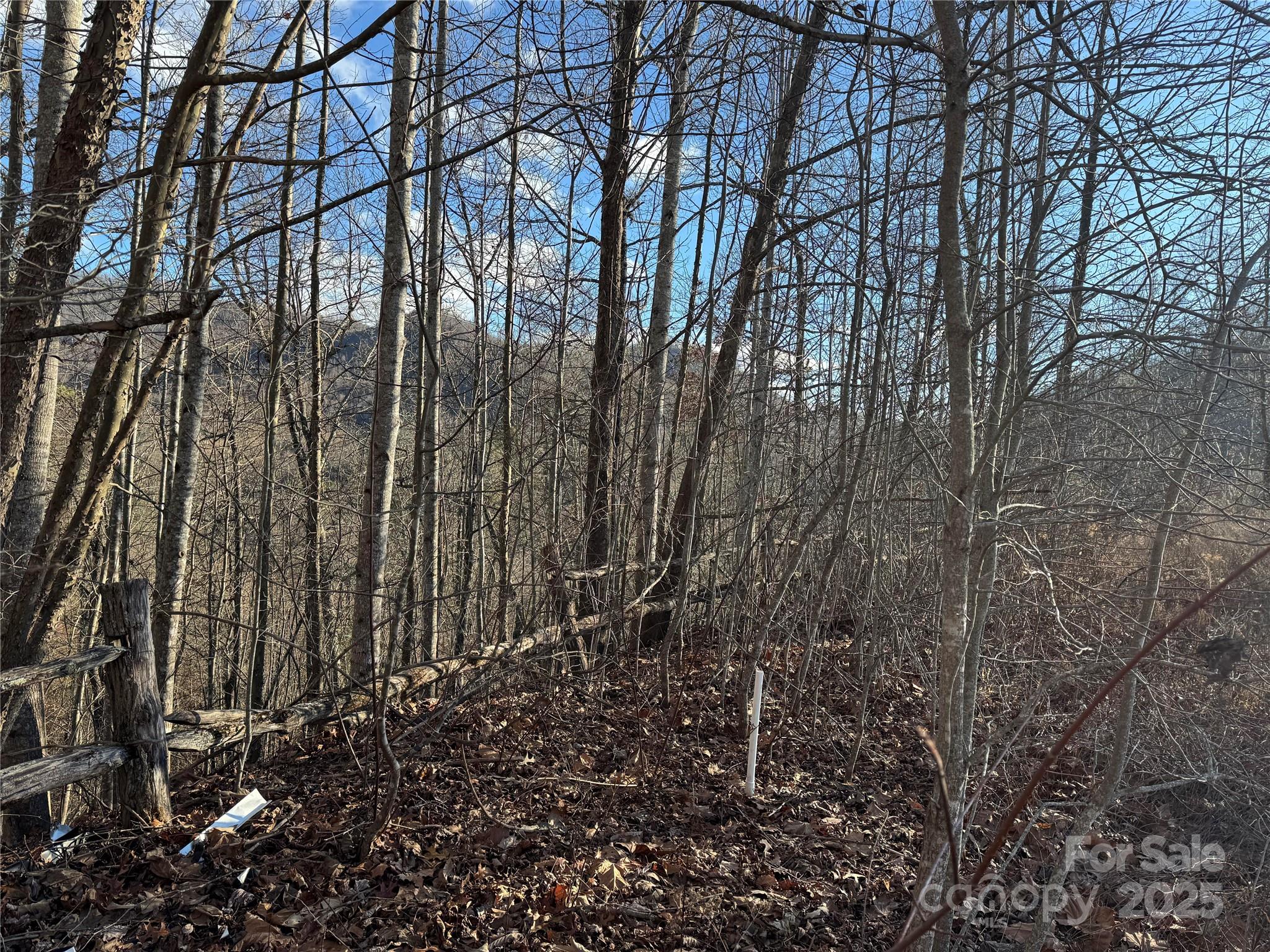 235 Hawks Shadow Trail Sylva, NC 28779 - Photo 5 of 8