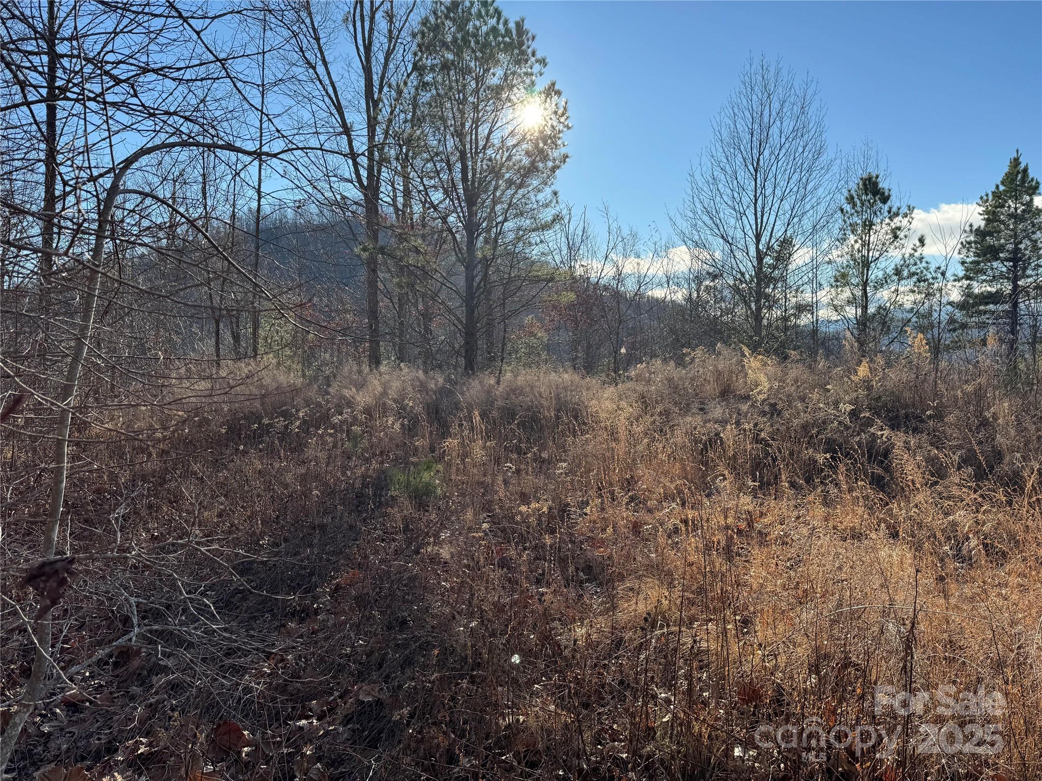 235 Hawks Shadow Trail Sylva, NC 28779 - Photo 6 of 8