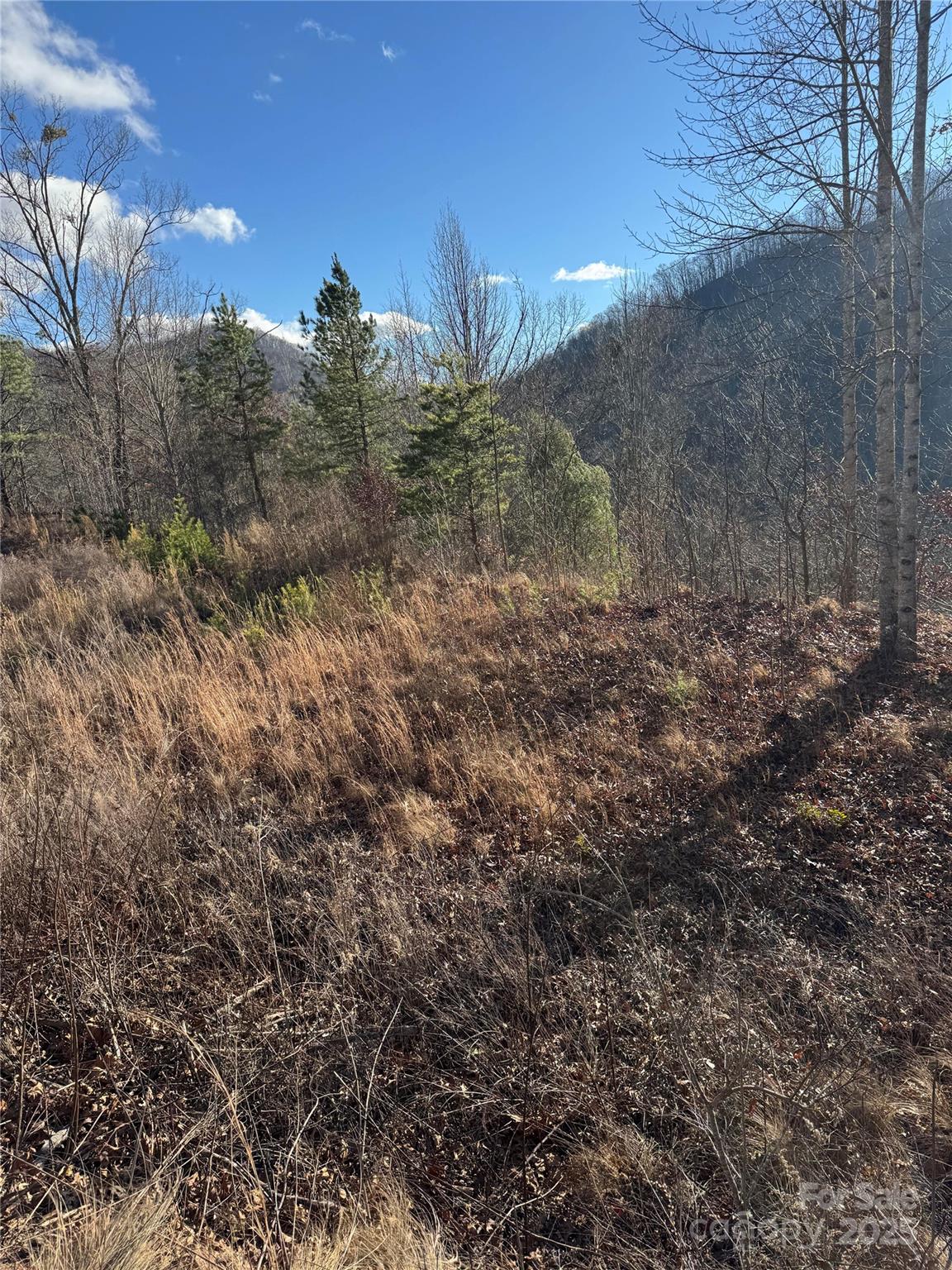 235 Hawks Shadow Trail Sylva, NC 28779 - Photo 7 of 8