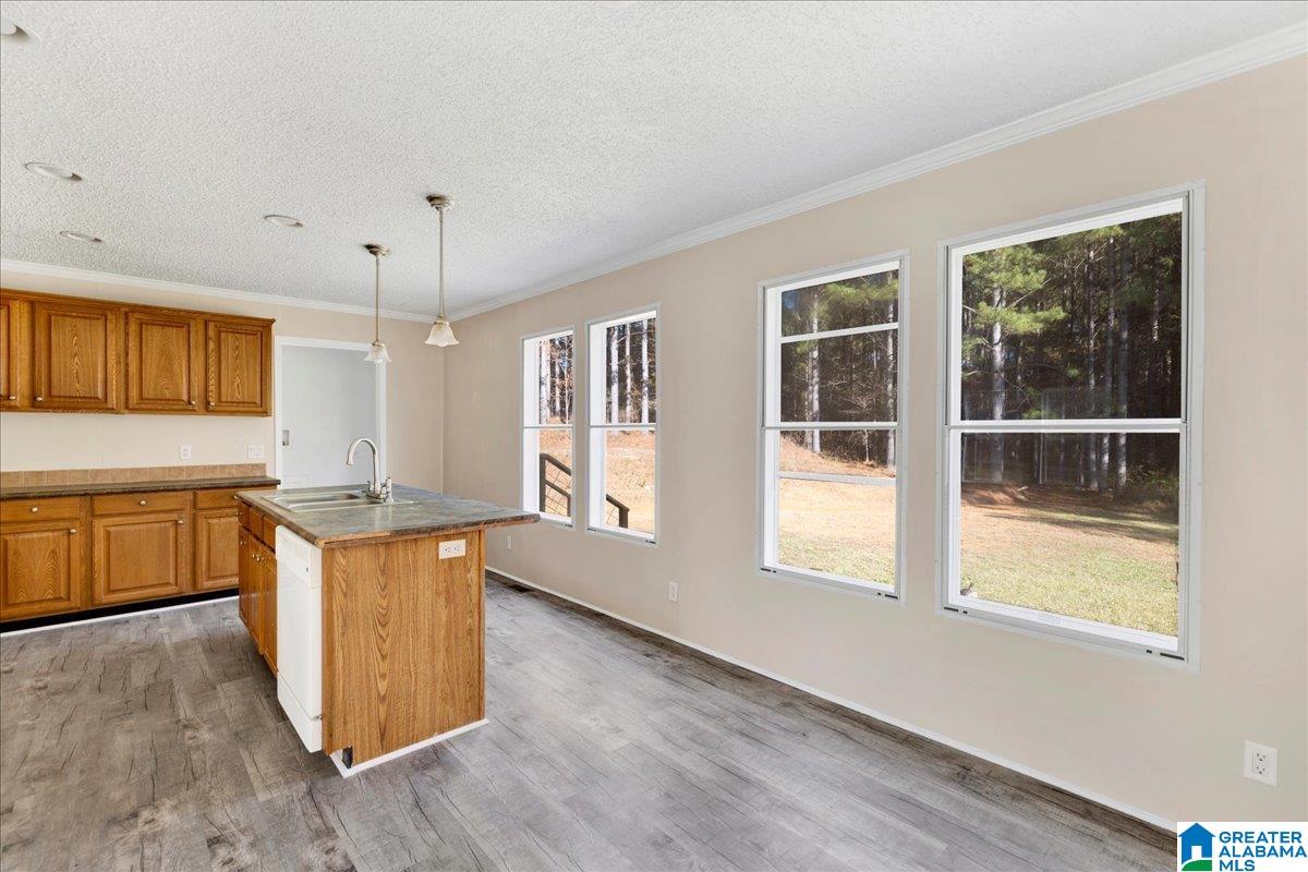 665 Rocky Rdg Road Odenville, AL 35120 - Photo 9 of 15