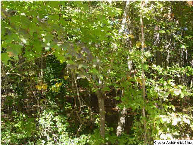 Old Choccolocco Road, Unit 73 Anniston, AL 36207 - Photo 19 of 30