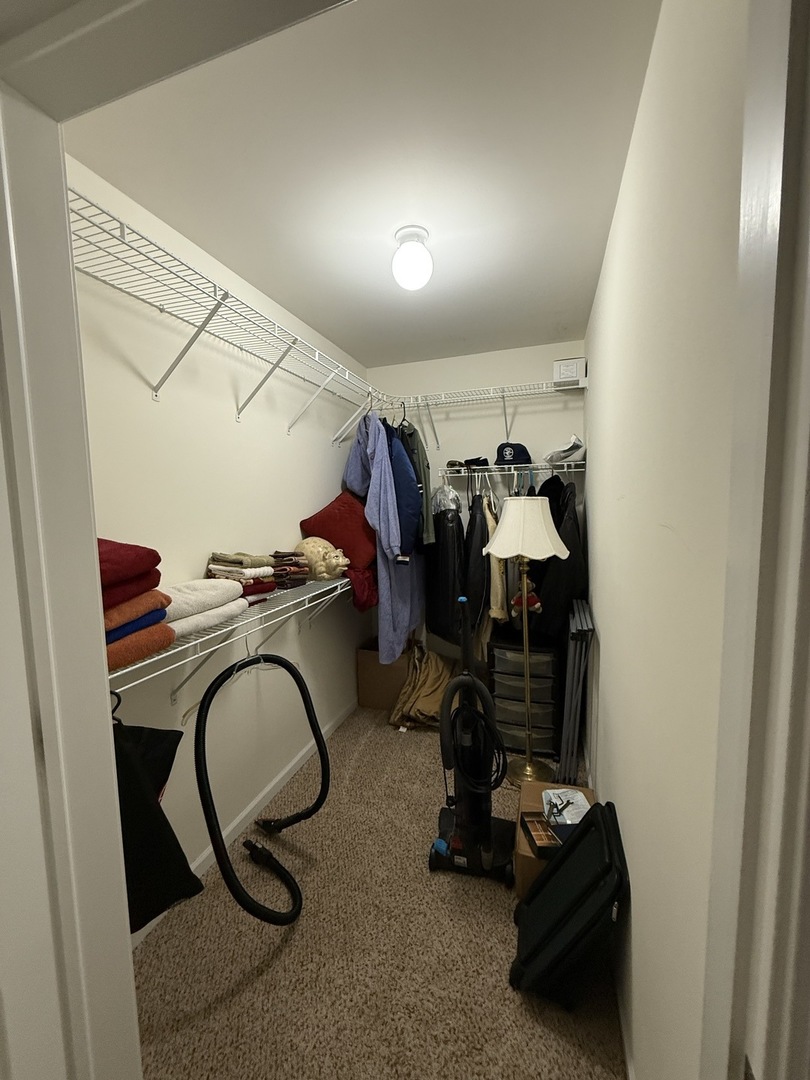 249 Millers Crossing Itasca, IL 60143 - Photo 14 of 17