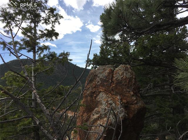 351 Day Spring View Manitou Springs, CO 80829 - Photo 17 of 19