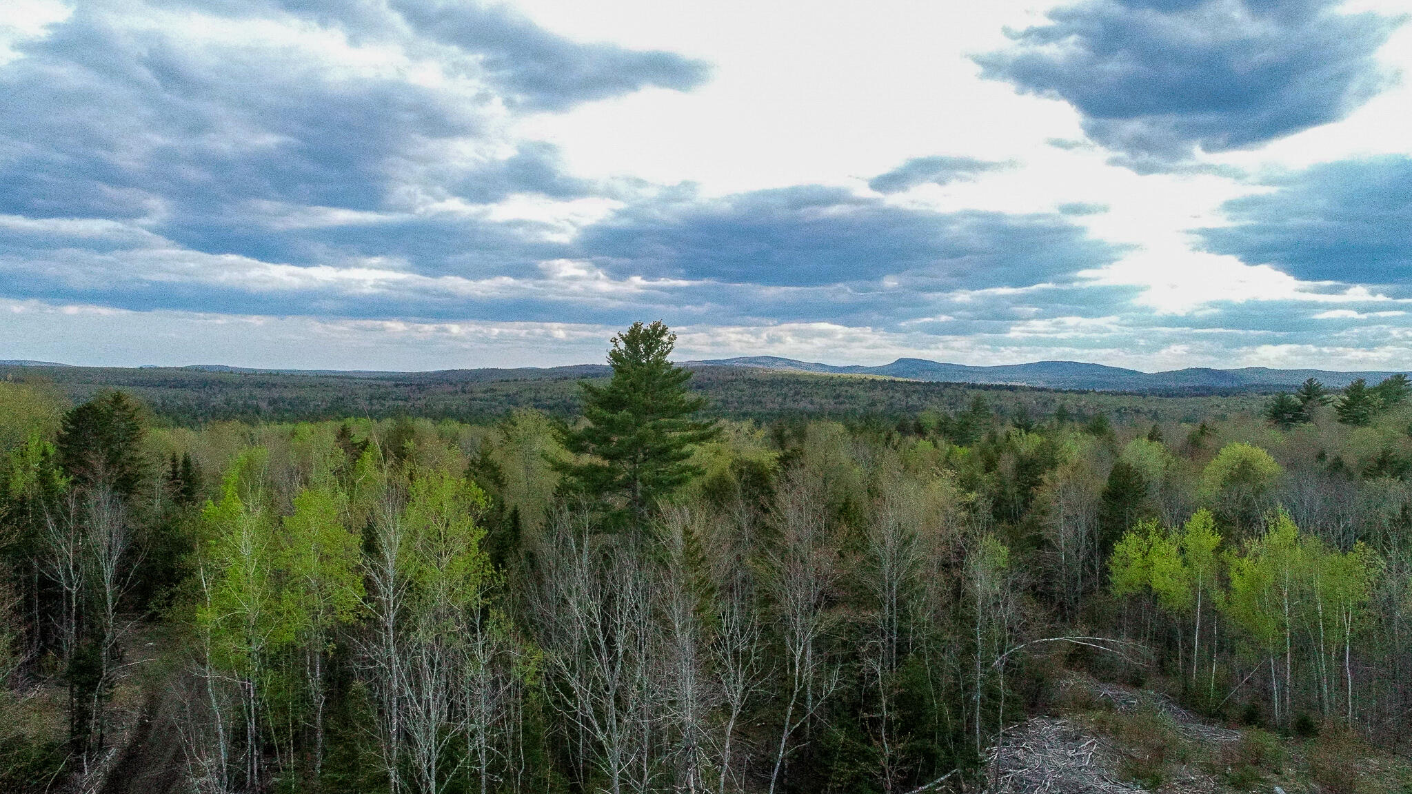 1509 Otis Road Ellsworth, ME 04605 - Photo 3 of 26 DJI_0015-2