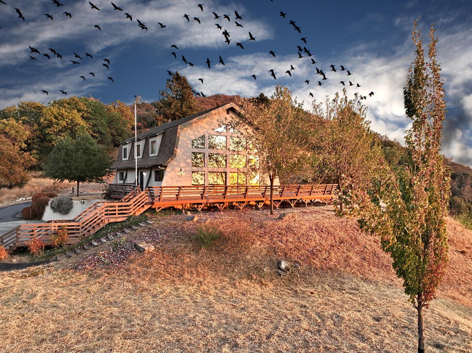 46149 Todd Eymann Road Miramonte, CA 93641 - Photo 11 of 43 Gallery Image 11