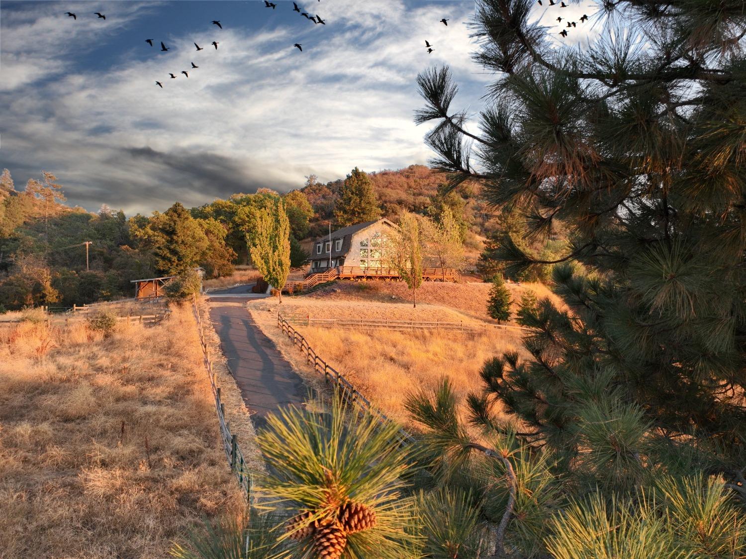 46149 Todd Eymann Road Miramonte, CA 93641 - Photo 4 of 43 Gallery Image 4