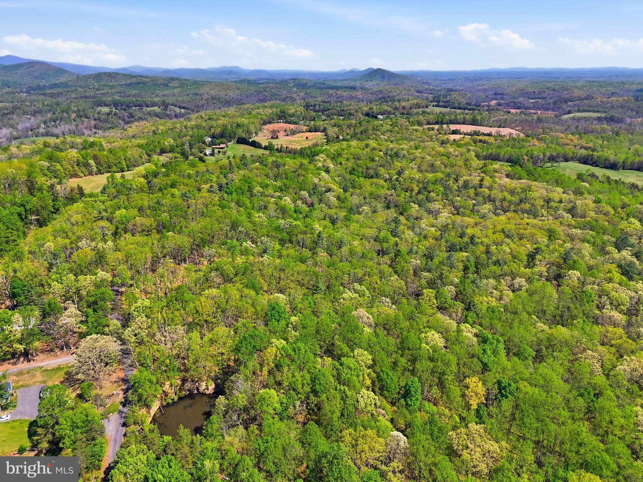 Lot 1 Obannons Mill Road Boston, VA 22713 - Photo 3 of 14 Gallery Image 3