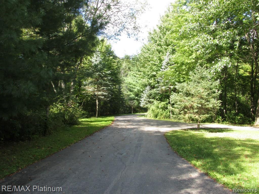 12296 Rohn Road Fenton, MI 48430 - Photo 34 of 38 VIEW OF DRIVEWAY LOOKING TO THE NORTH