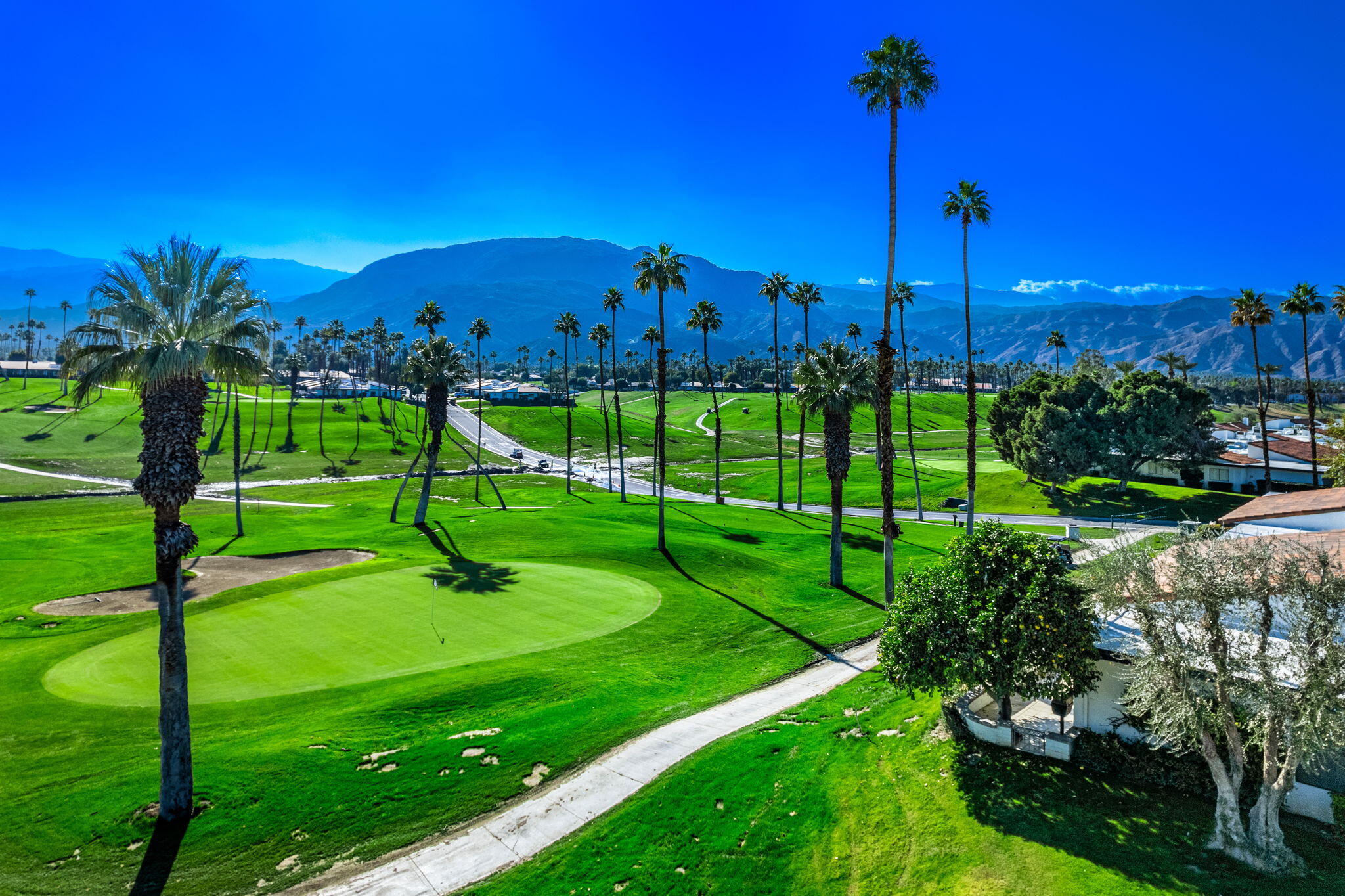 7 Leon Way Rancho Mirage, CA 92270 - Photo 33 of 45 a view of a park with lots of palm trees