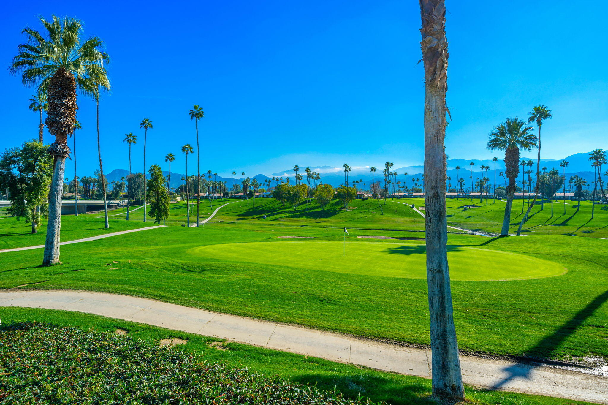 7 Leon Way Rancho Mirage, CA 92270 - Photo 44 of 45 a view of a park with palm trees