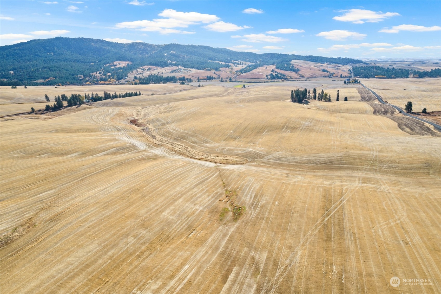 0 South Jackson Road Mica, WA 99023 - Photo 26 of 34