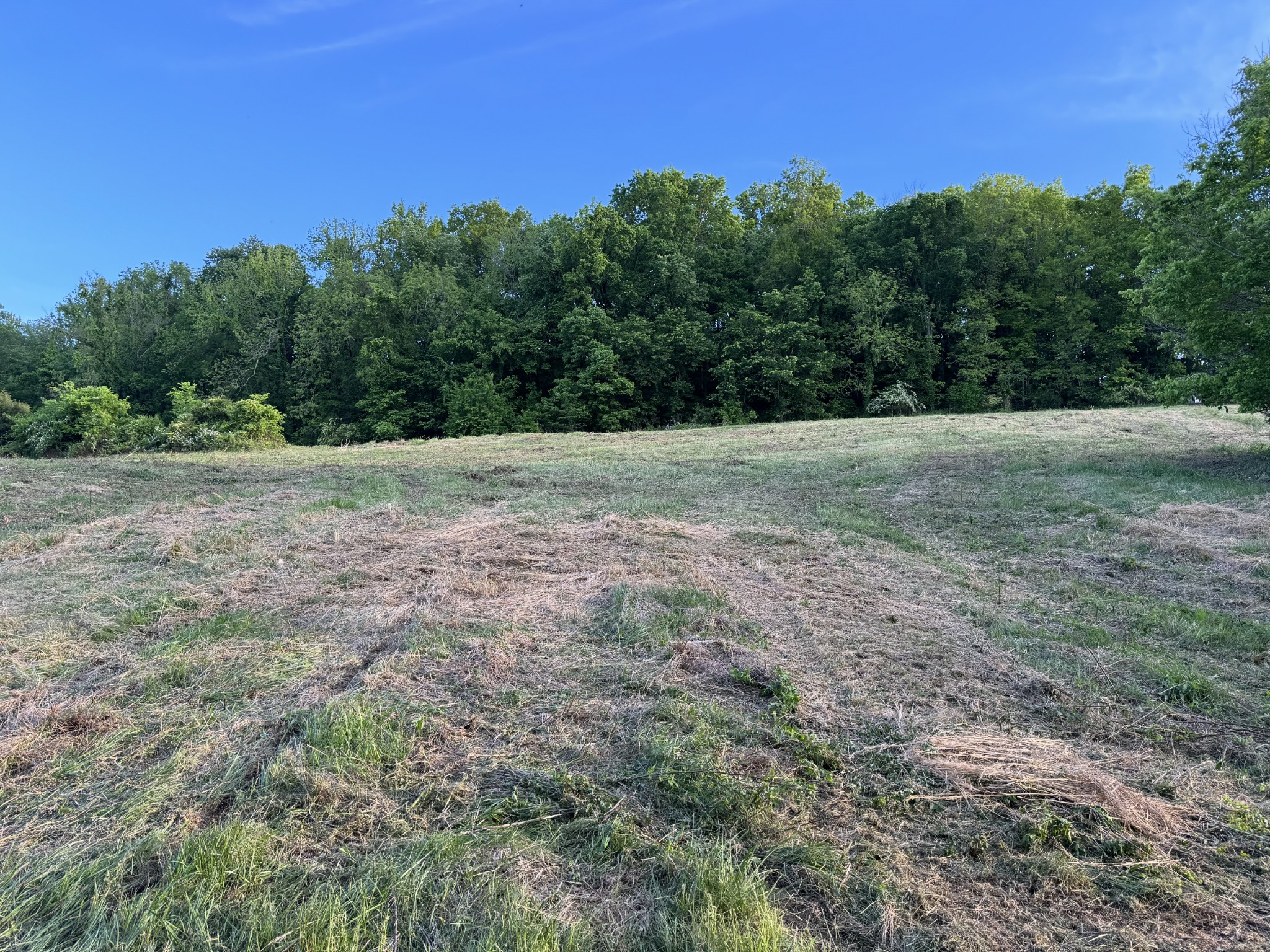 4147 Booker Farm Road Hampshire, TN 38461 - Photo 13 of 45 Gallery Image 13