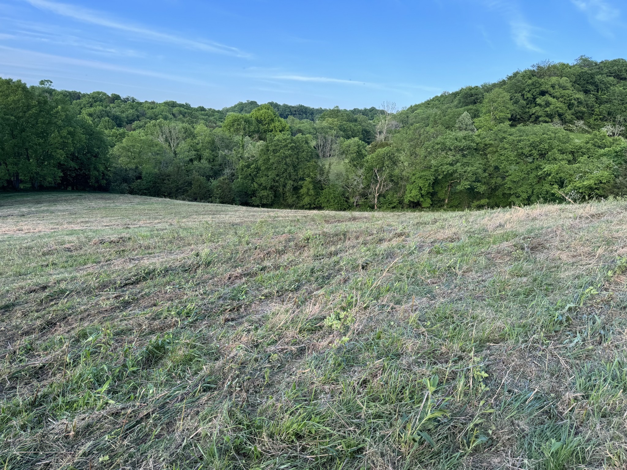 4147 Booker Farm Road Hampshire, TN 38461 - Photo 23 of 45 Gallery Image 23