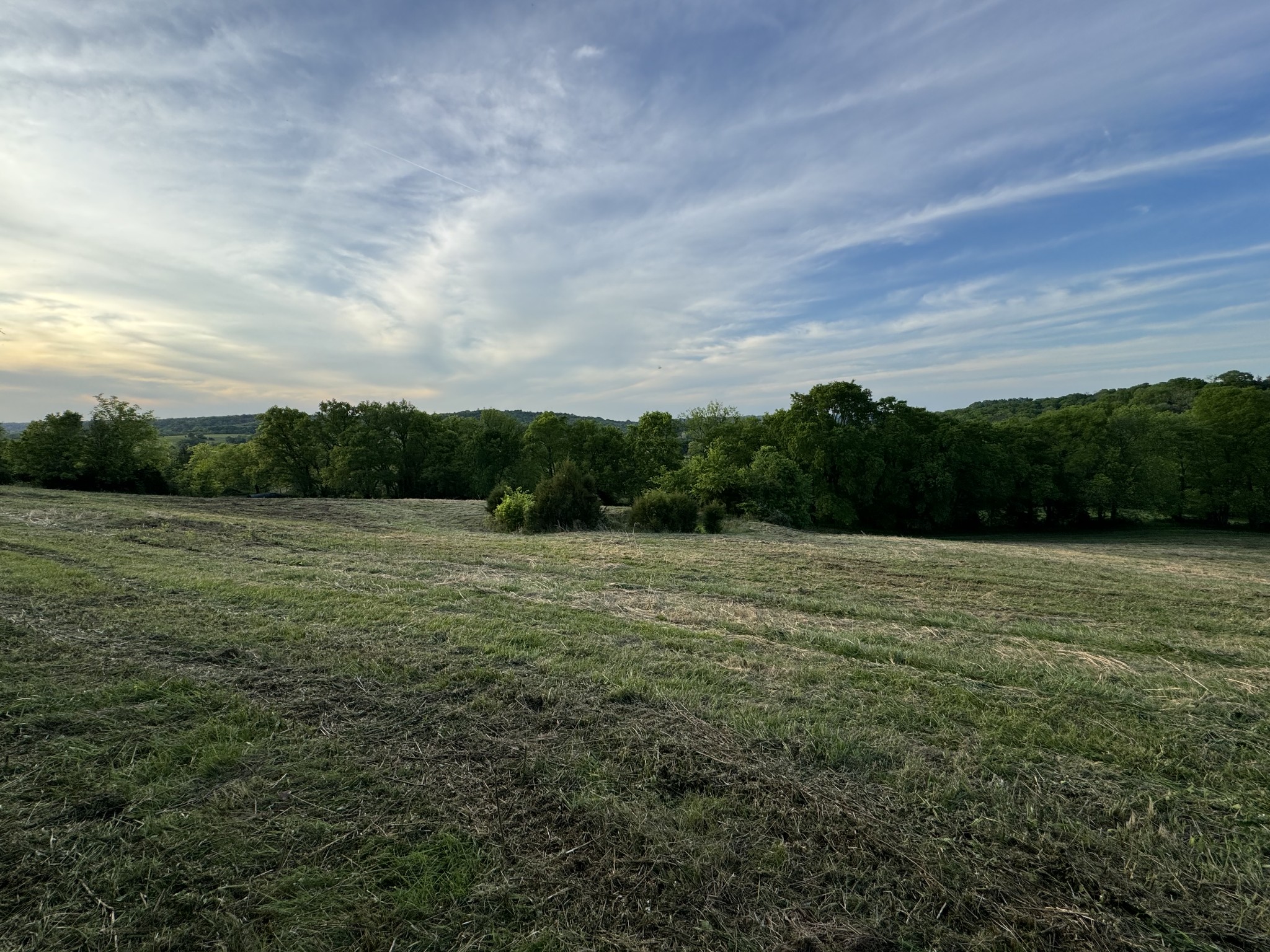 4147 Booker Farm Road Hampshire, TN 38461 - Photo 3 of 45 Gallery Image 3
