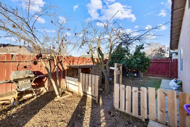 a view of a backyard