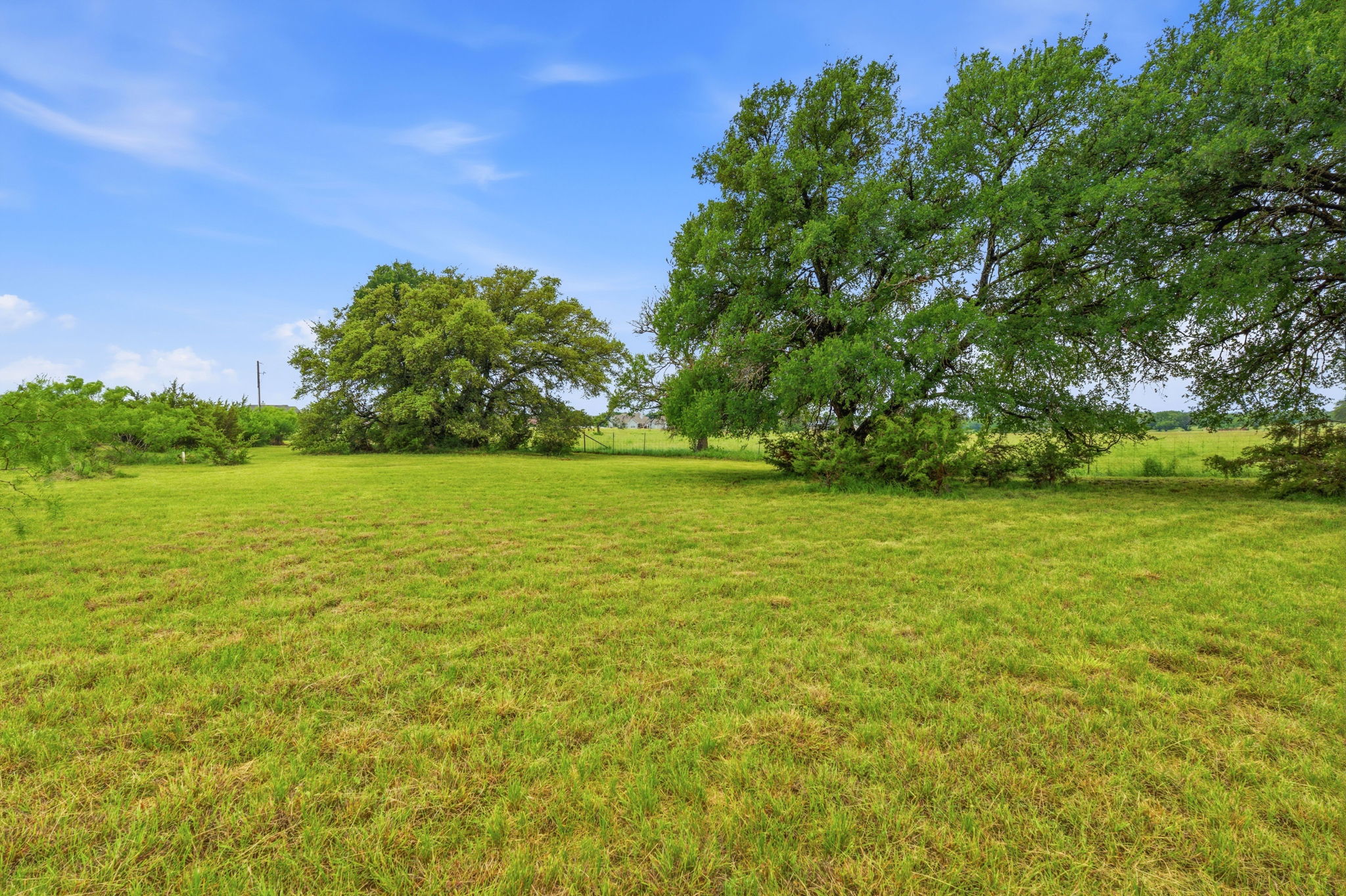 104 Round Up Circle Burnet, TX 78611 - Photo 6 of 23 Expansive green lawn with mature trees under a clear blue sky