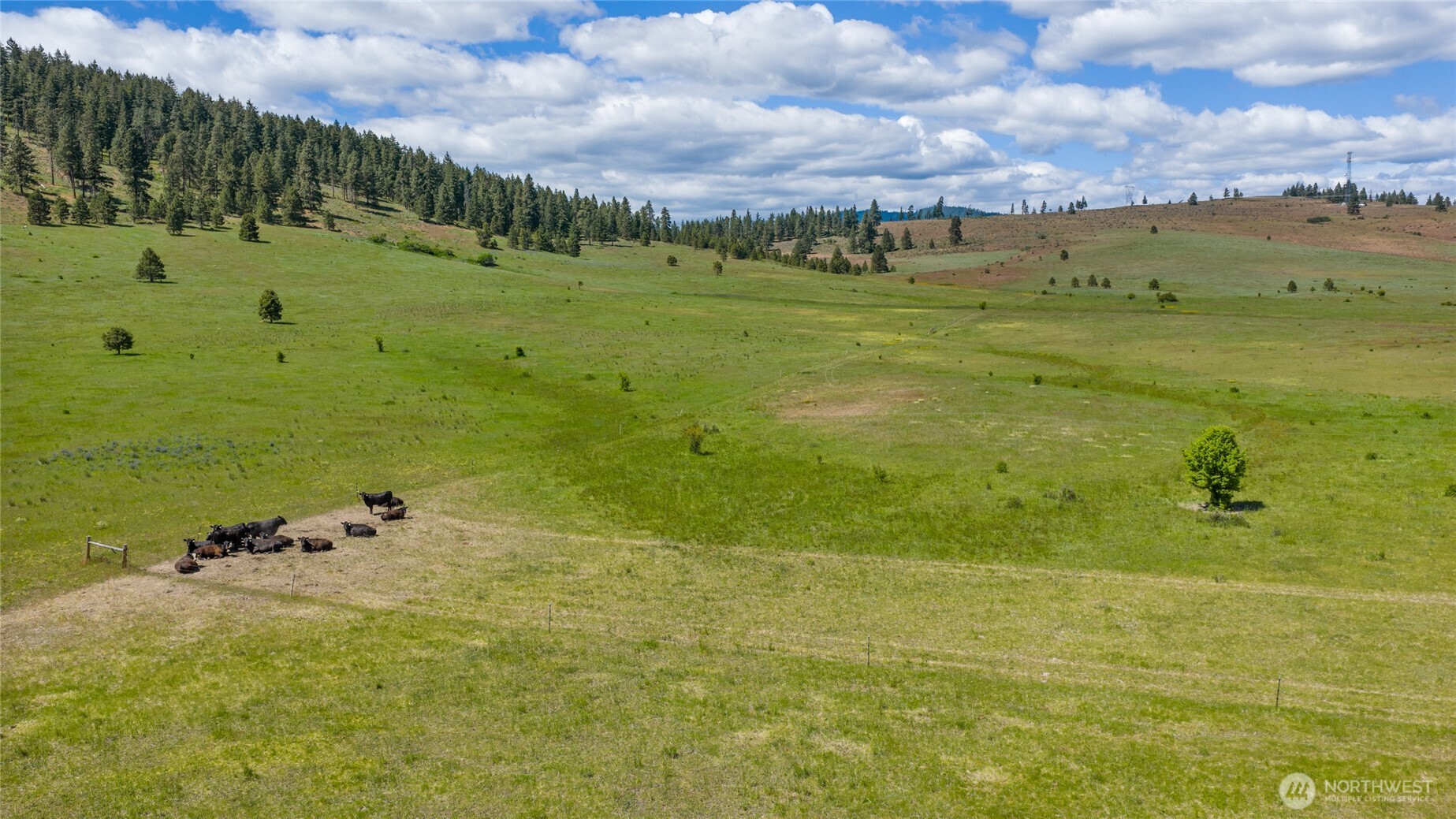 1371 Bettas Road Cle Elum, WA 98922 - Photo 32 of 40