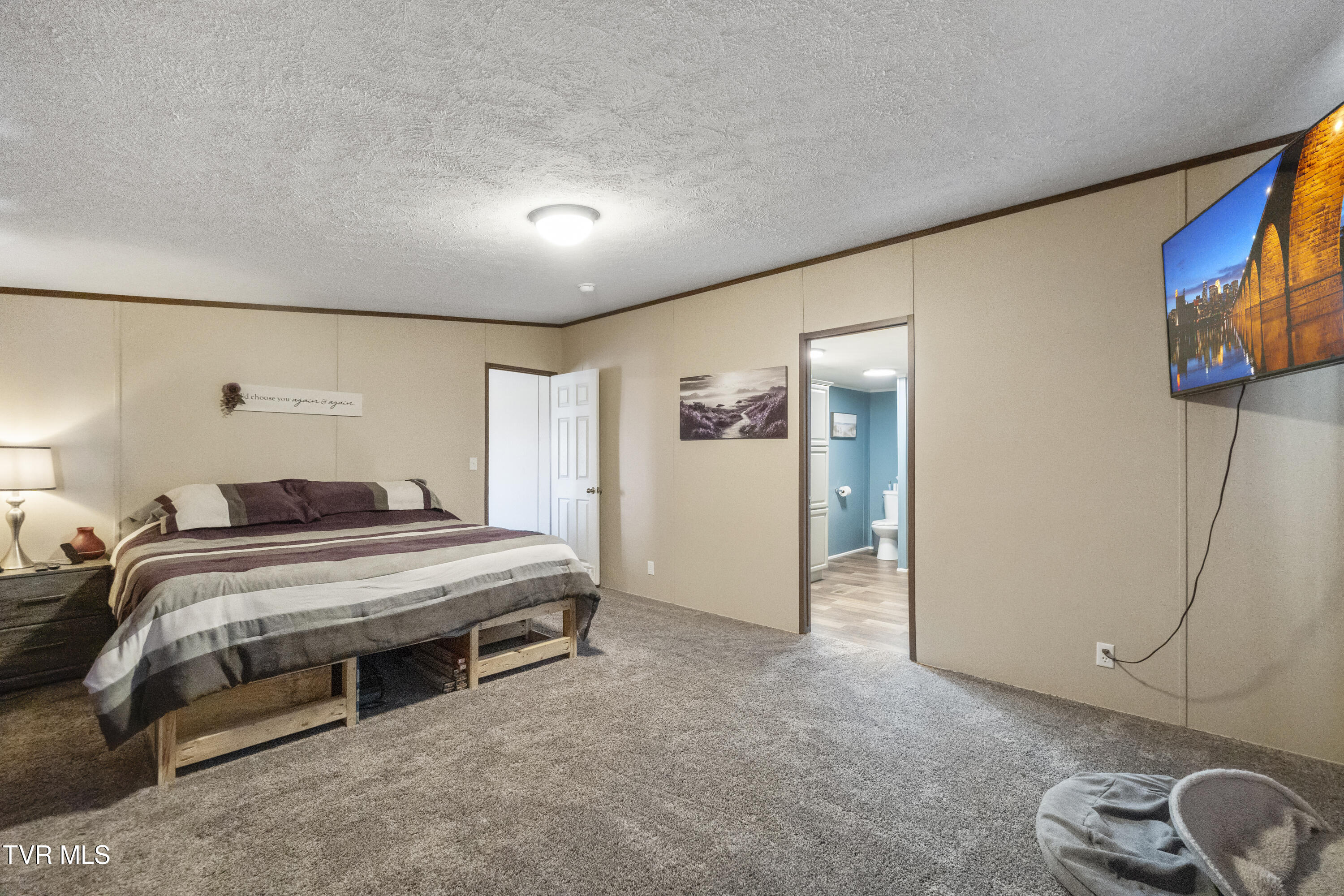 3620 Sunnydale Road Greeneville, TN 37743 - Photo 18 of 53 Master Bedroom/Master Bathroom