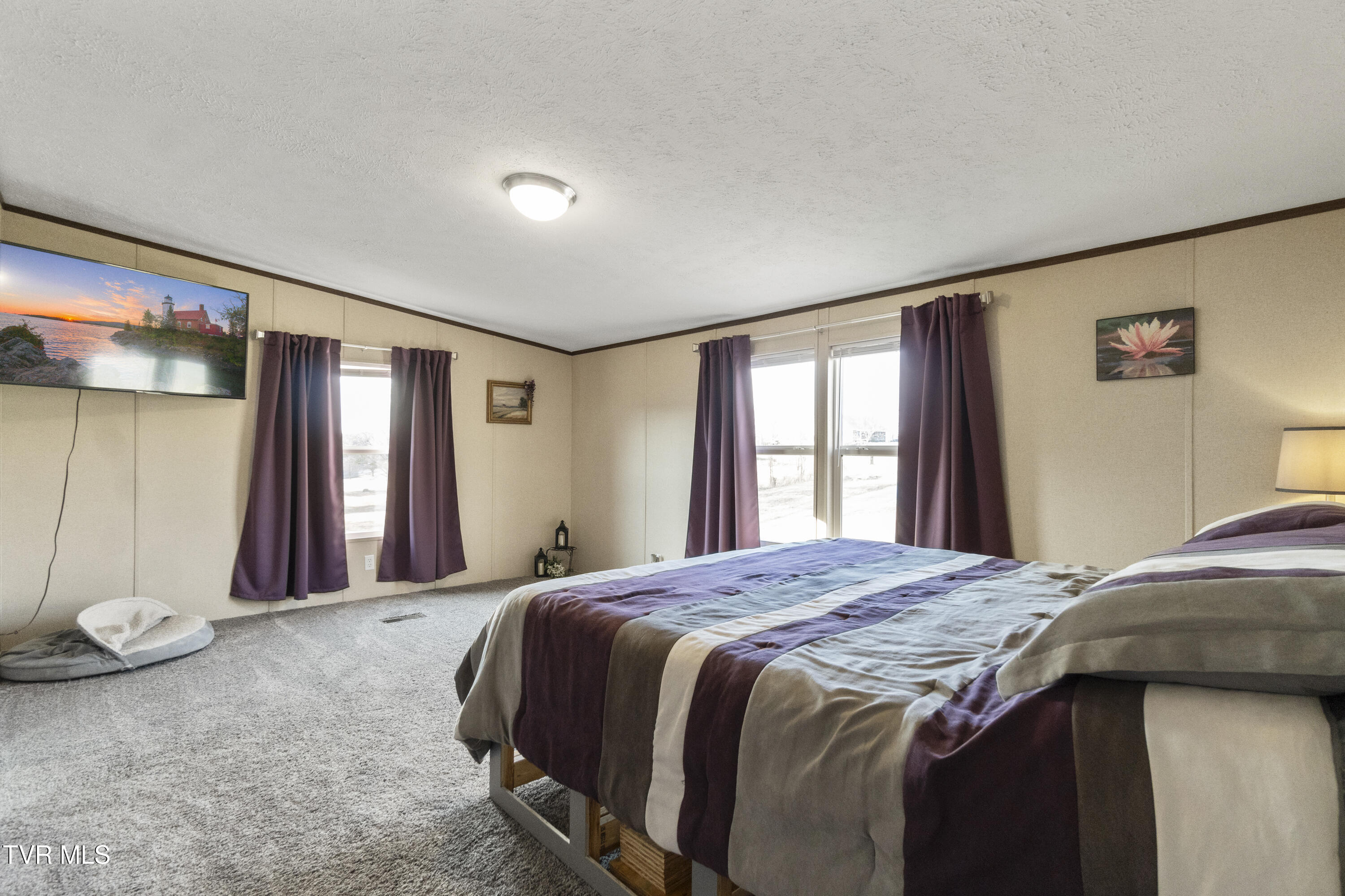 3620 Sunnydale Road Greeneville, TN 37743 - Photo 20 of 53 Master Bedroom