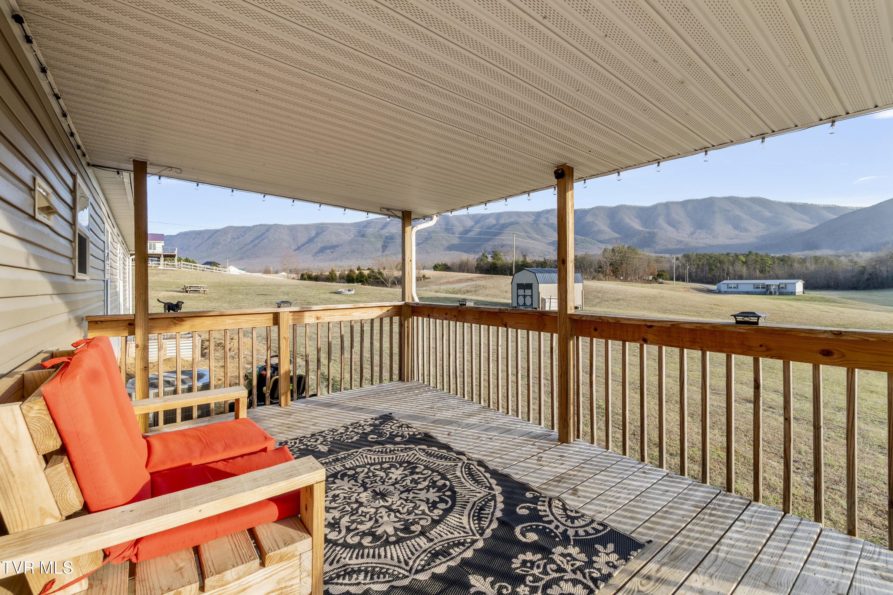 3620 Sunnydale Road Greeneville, TN 37743 - Photo 43 of 53 Rear Porch Mountain Views