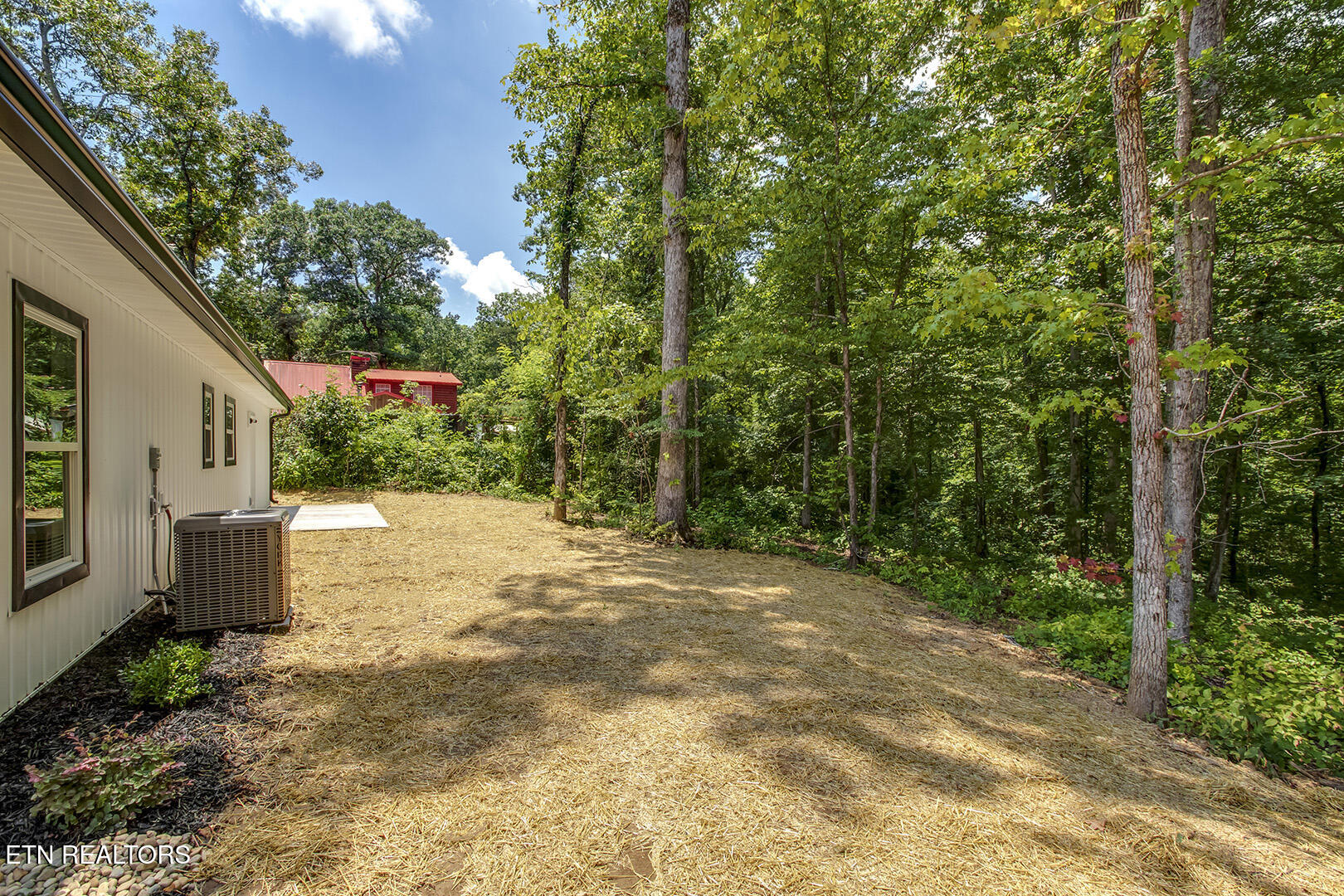181 Lakeshore Lane Decatur, TN 37322 - Photo 36 of 43 36_LakeshoreLane_181_Backyard