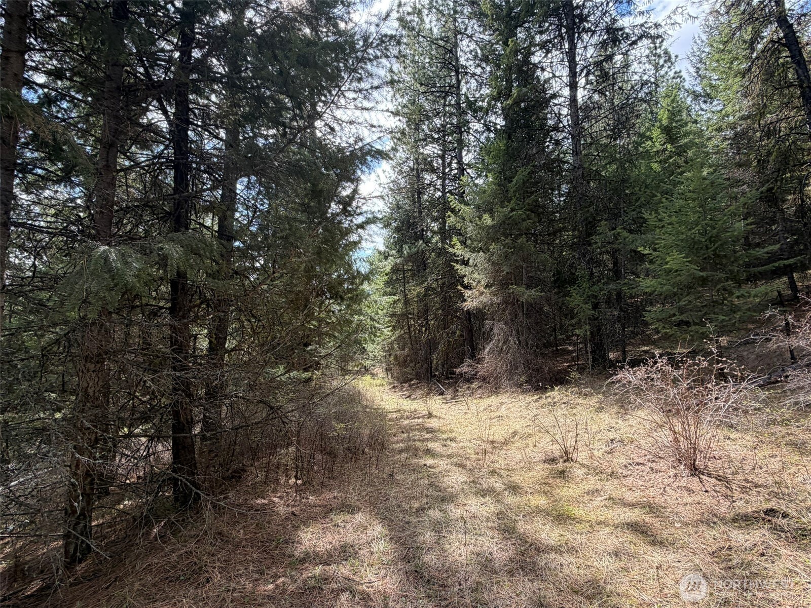 111-tbd W West Curlew Lake Road Republic, WA 99166 - Photo 15 of 16