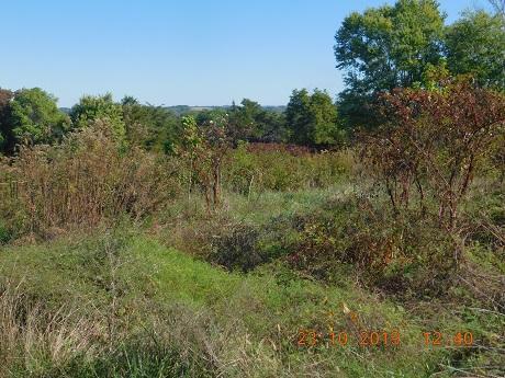 16.65-ac Irvine Road Science Hill, KY 42553 - Photo 2 of 5 acreage scene 5