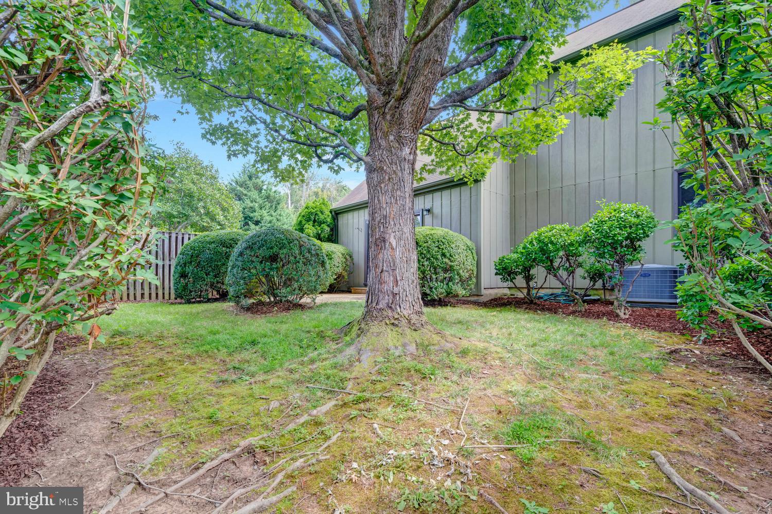 1412 Green Run Lane Reston, VA 20190 - Photo 6 of 48 Fenced in back yard