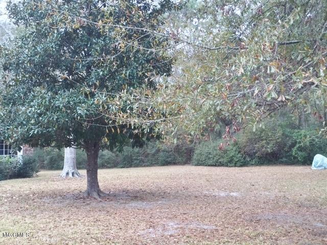 3308 Lampkin Road Moss Point, MS 39562 - Photo 8 of 8 Yard