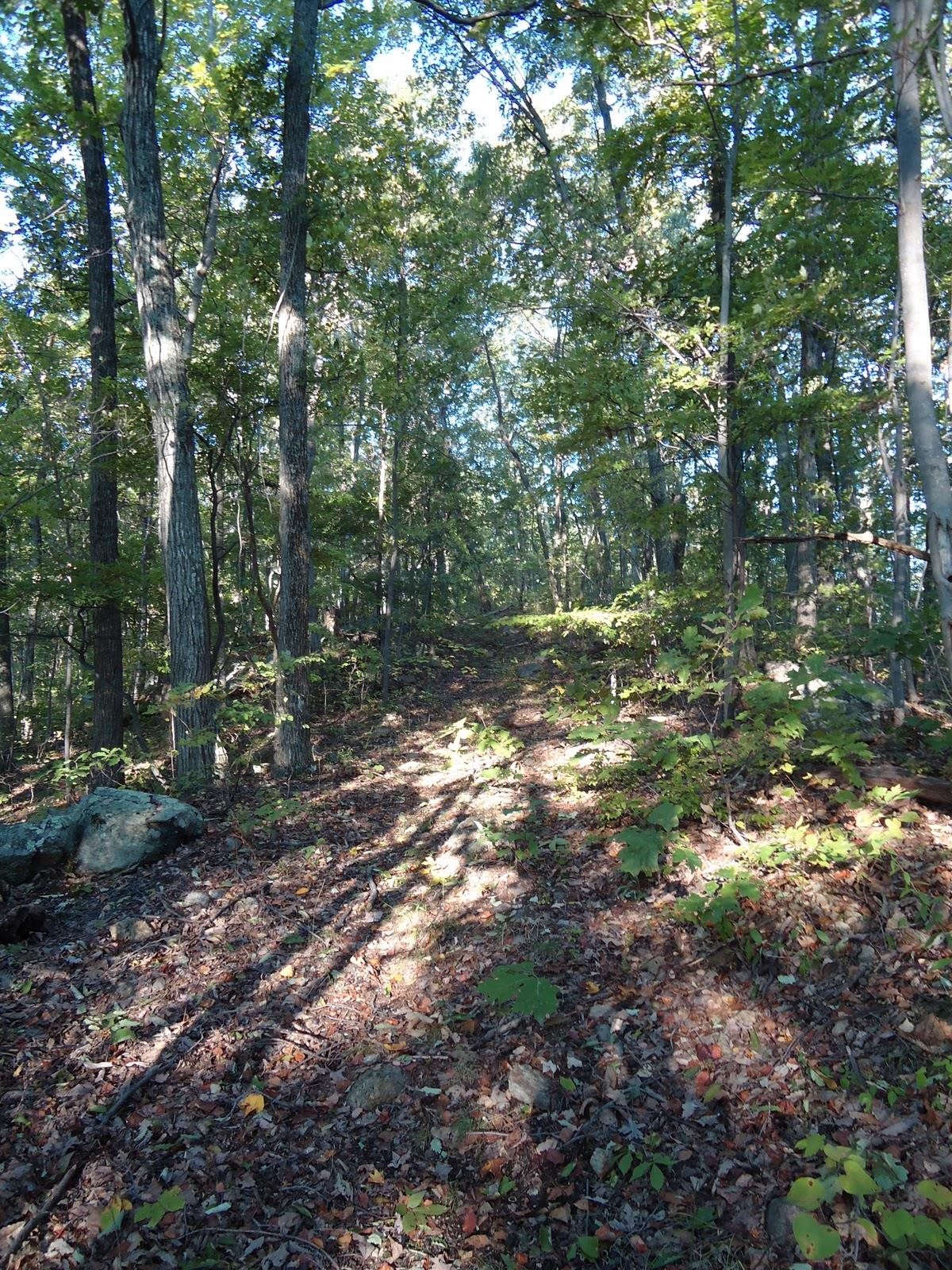 Farmview Road Stanardsville, VA 22973 - Photo 15 of 16 Gallery Image 15