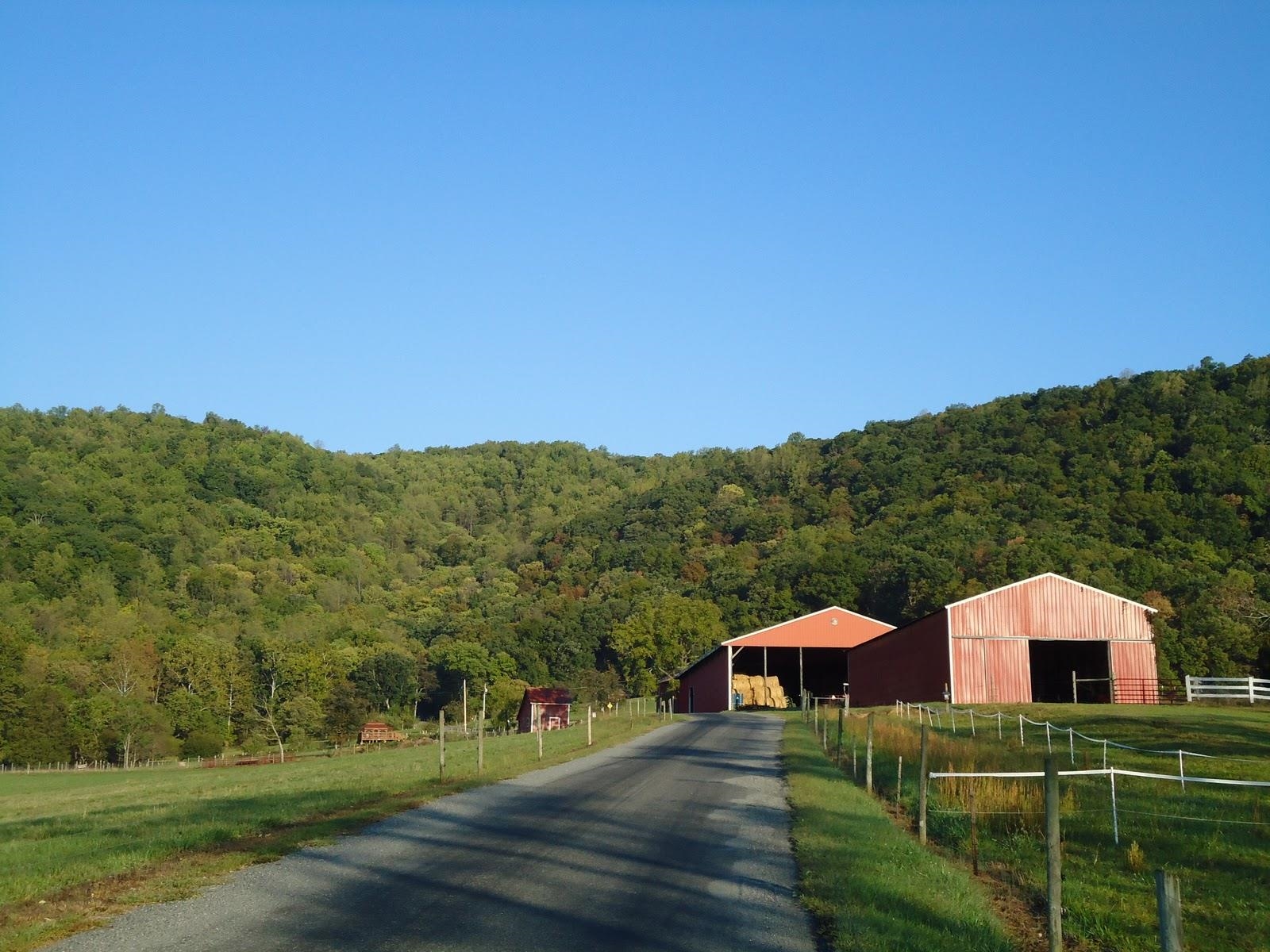 Farmview Road Stanardsville, VA 22973 - Photo 4 of 16 Gallery Image 4