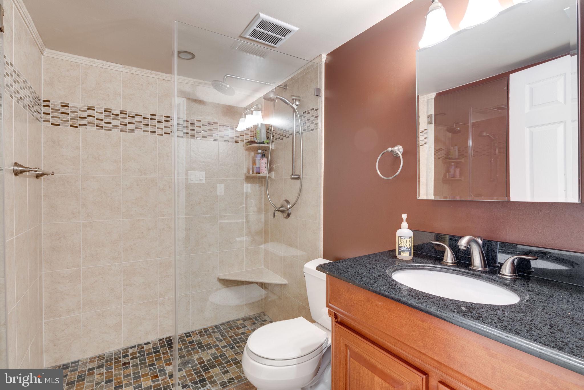 6253 Rathlin Drive Springfield, VA 22152 - Photo 26 of 29 Lower level full bath