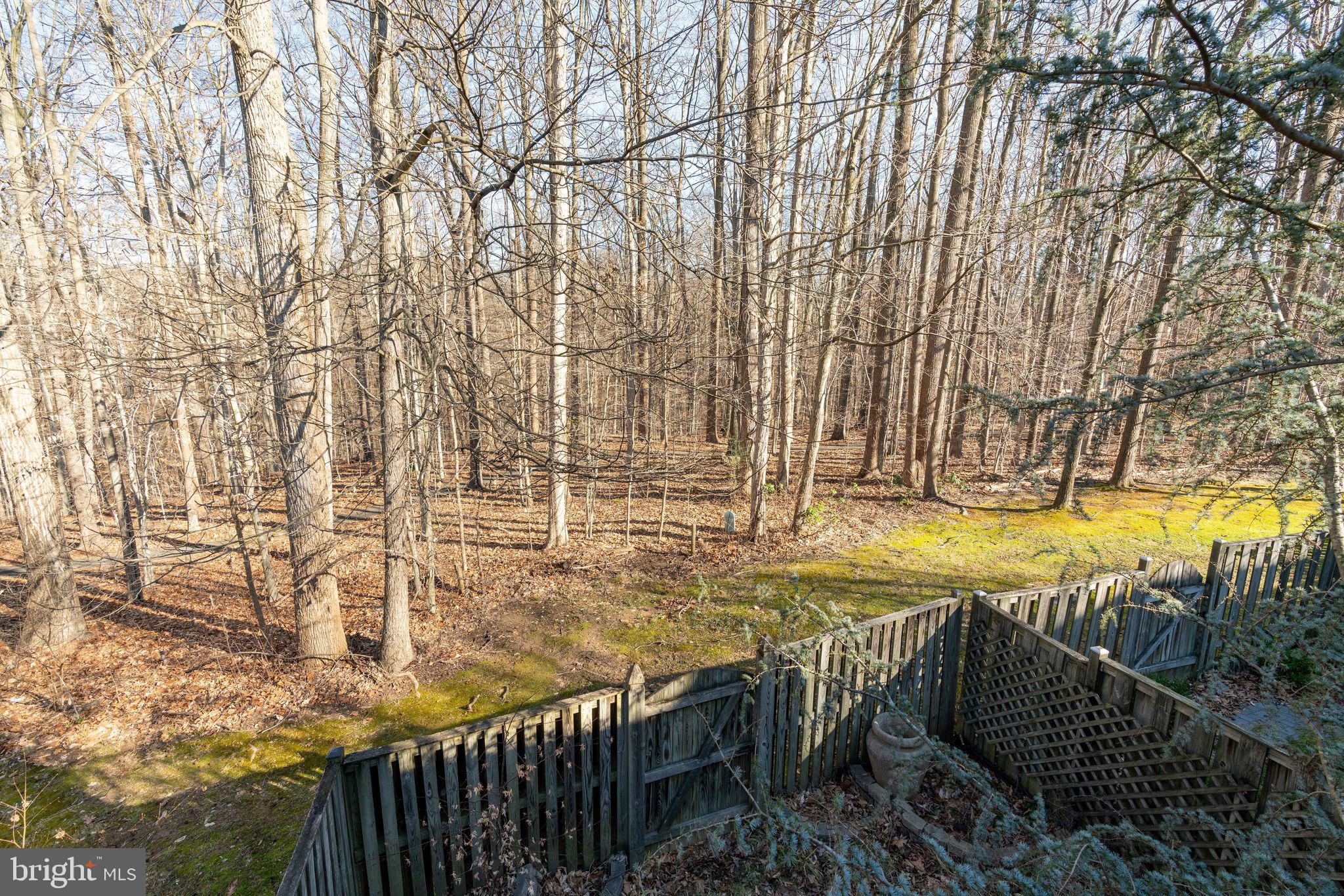 6253 Rathlin Drive Springfield, VA 22152 - Photo 28 of 29 Backs to trees