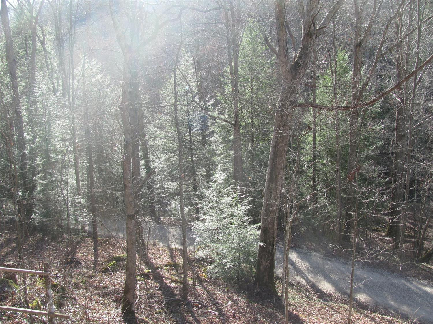 99999 Raccoon Creek Road Sandgap, KY 40481 - Photo 7 of 7 Additional view from front porch