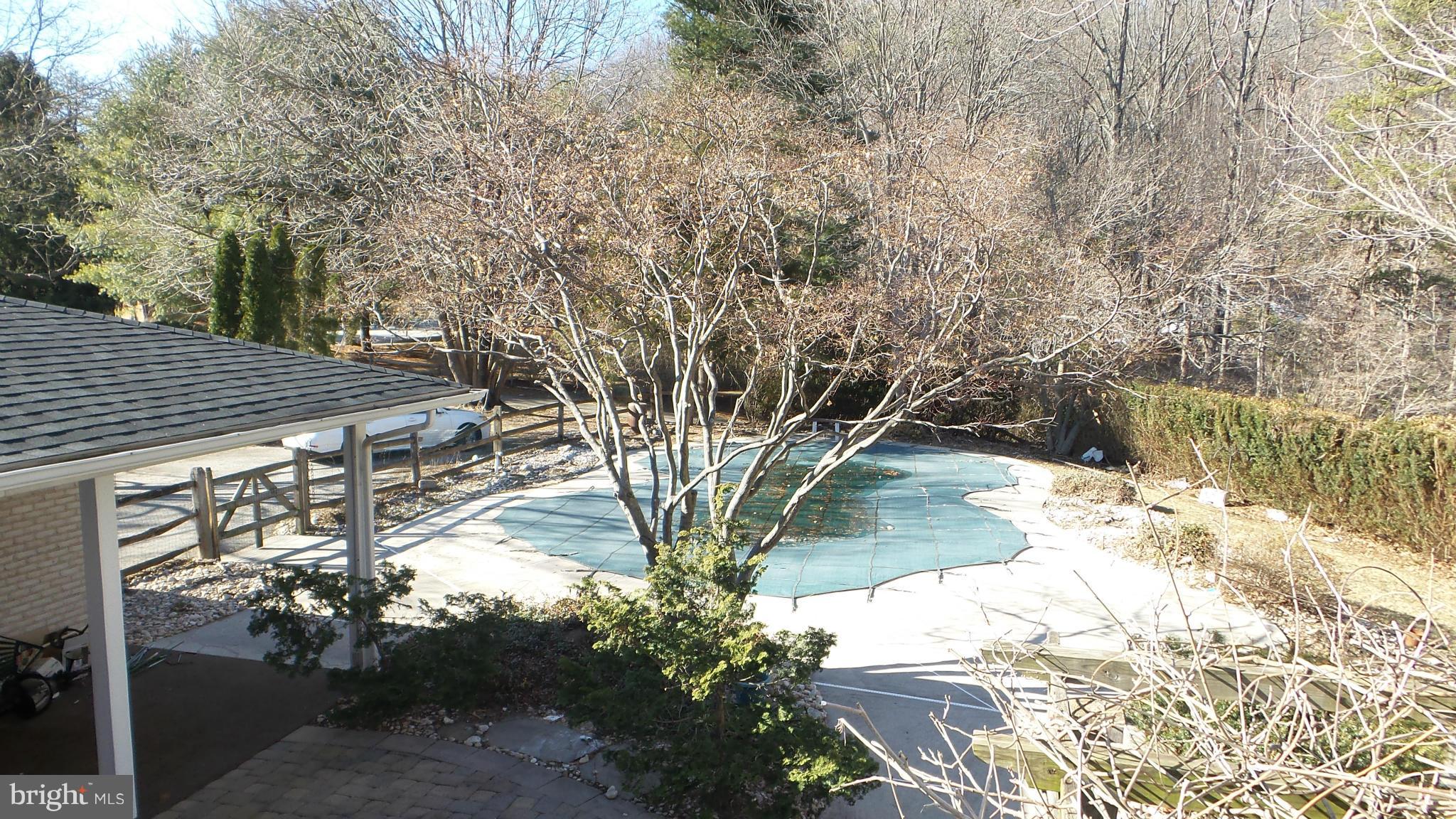 13409 Bladon Road Phoenix, MD 21131 - Photo 23 of 27 a view of a yard with plants and trees